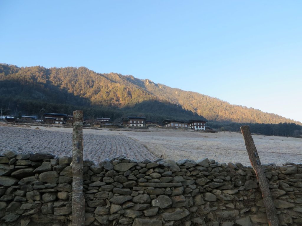 畑が白く凍った村の光景。